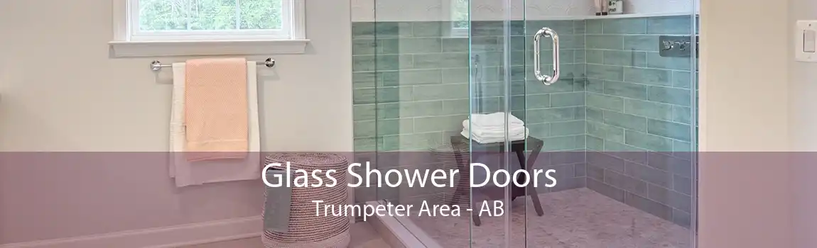 Glass Shower Doors Trumpeter Area - AB