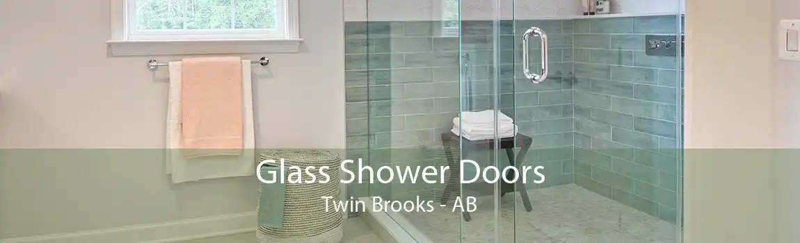 Glass Shower Doors Twin Brooks - AB