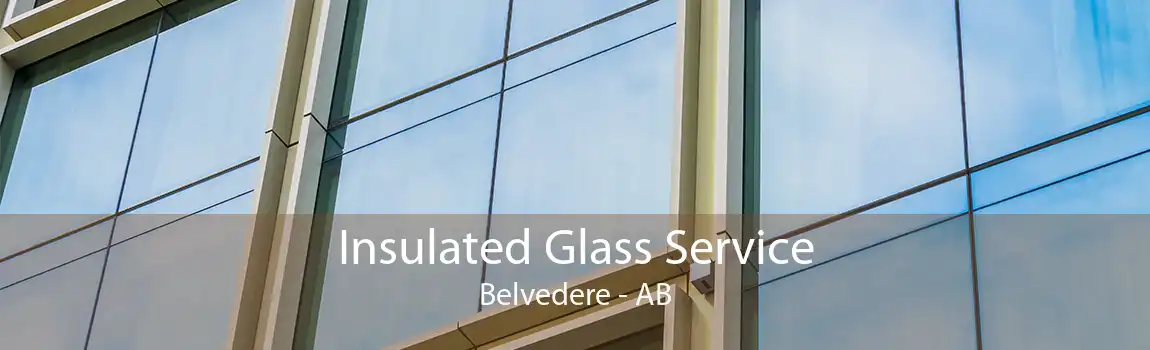 Insulated Glass Service Belvedere - AB