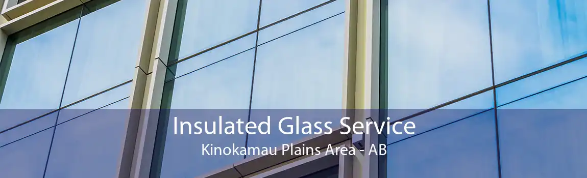 Insulated Glass Service Kinokamau Plains Area - AB