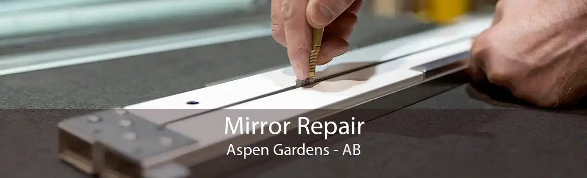 Mirror Repair Aspen Gardens - AB