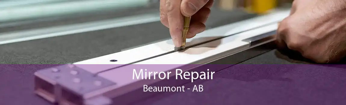 Mirror Repair Beaumont - AB