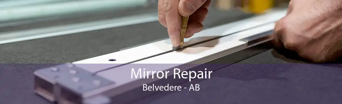 Mirror Repair Belvedere - AB