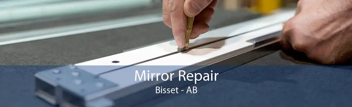 Mirror Repair Bisset - AB