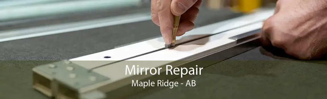 Mirror Repair Maple Ridge - AB