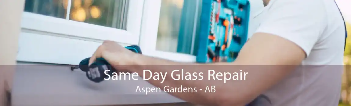 Same Day Glass Repair Aspen Gardens - AB