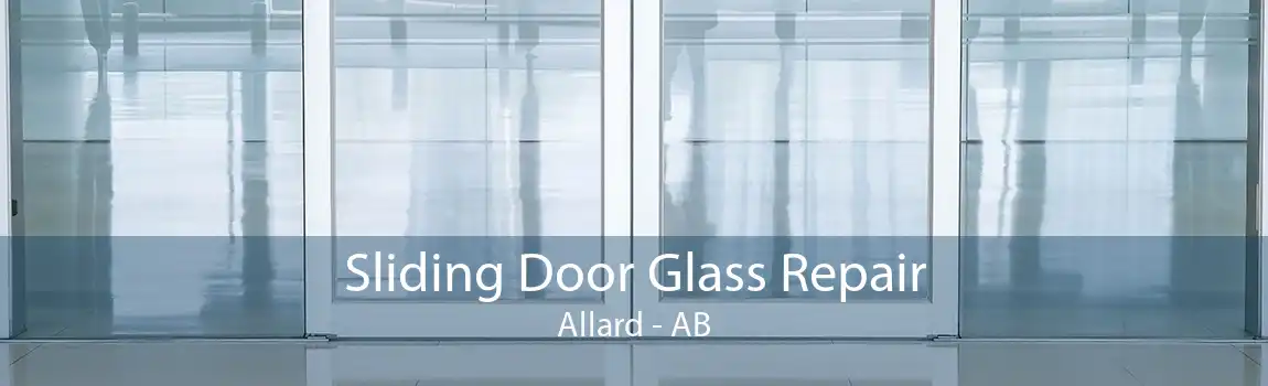 Sliding Door Glass Repair Allard - AB