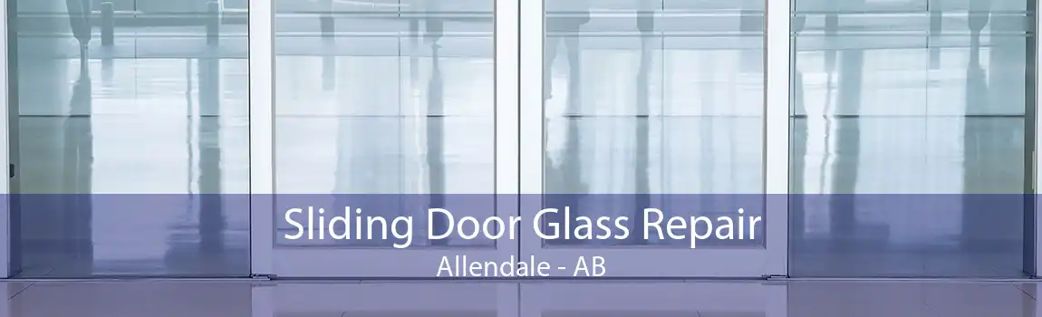 Sliding Door Glass Repair Allendale - AB