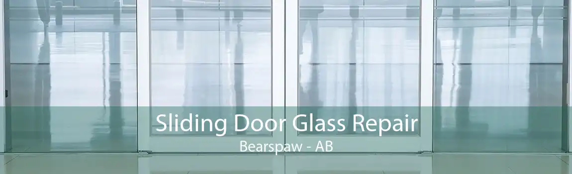 Sliding Door Glass Repair Bearspaw - AB