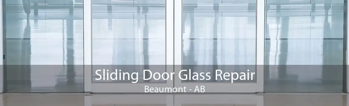 Sliding Door Glass Repair Beaumont - AB