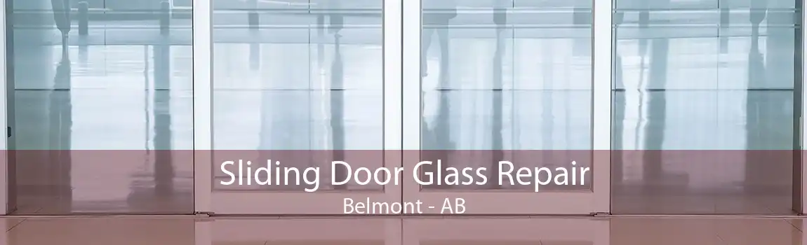 Sliding Door Glass Repair Belmont - AB