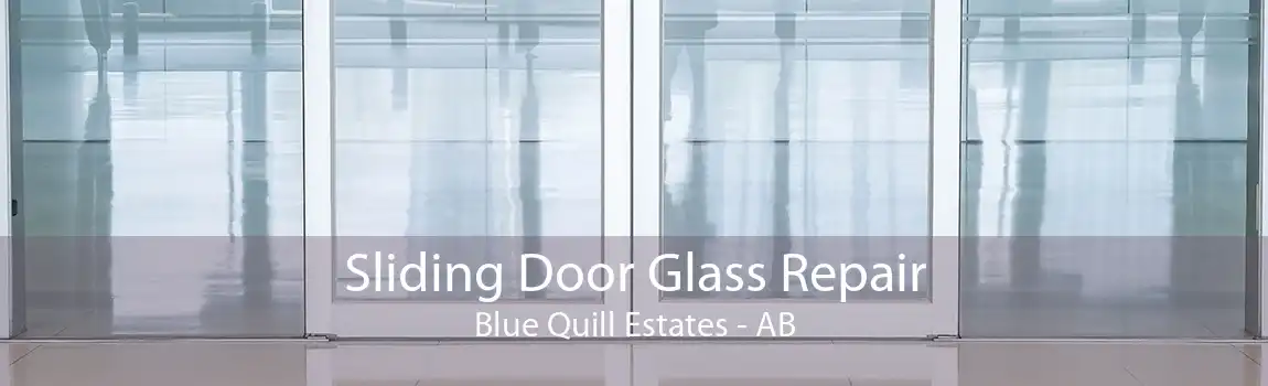 Sliding Door Glass Repair Blue Quill Estates - AB