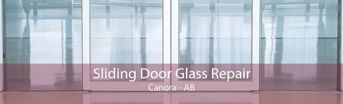 Sliding Door Glass Repair Canora - AB