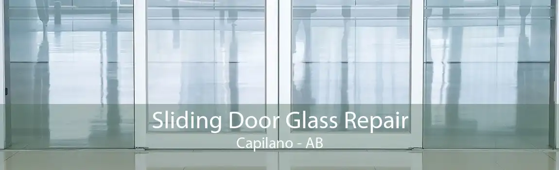 Sliding Door Glass Repair Capilano - AB