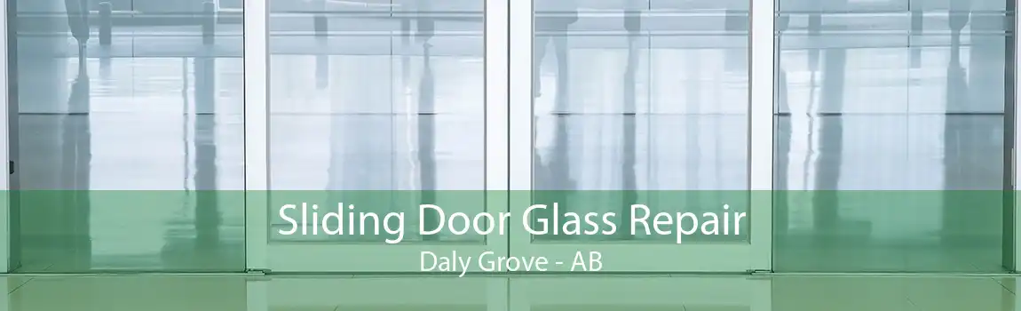 Sliding Door Glass Repair Daly Grove - AB