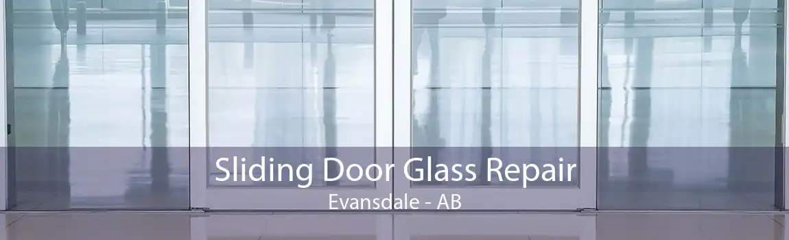 Sliding Door Glass Repair Evansdale - AB