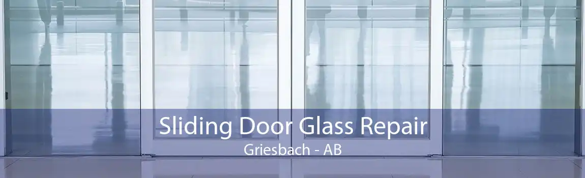 Sliding Door Glass Repair Griesbach - AB