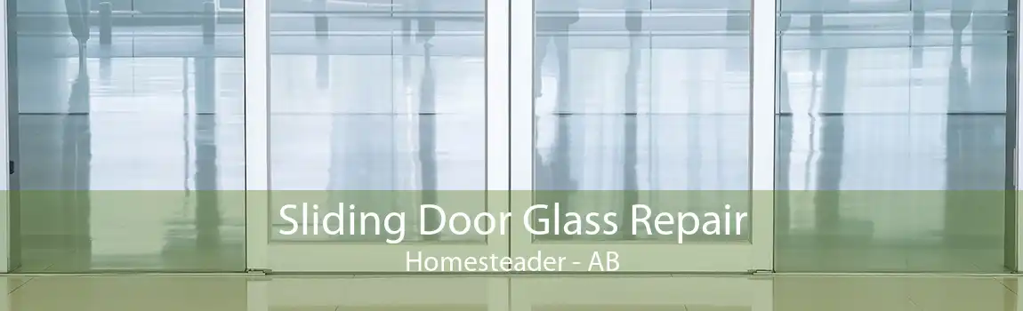 Sliding Door Glass Repair Homesteader - AB