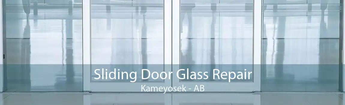 Sliding Door Glass Repair Kameyosek - AB