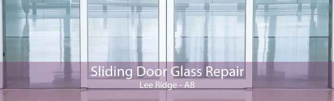 Sliding Door Glass Repair Lee Ridge - AB