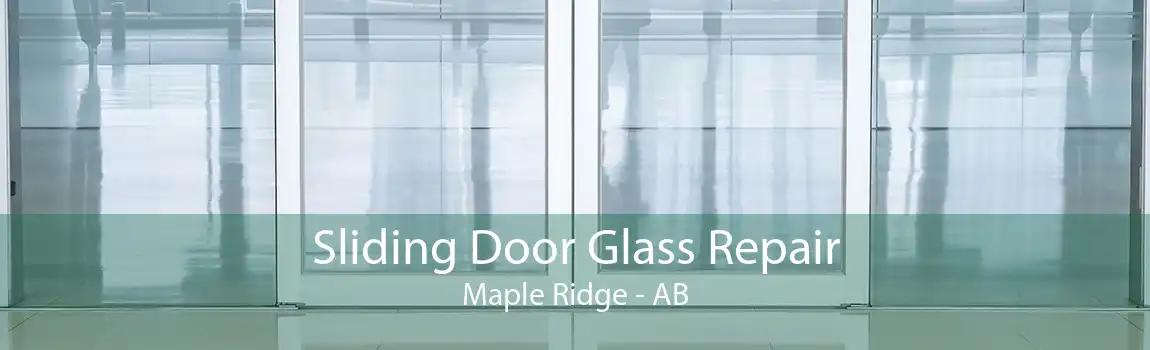 Sliding Door Glass Repair Maple Ridge - AB