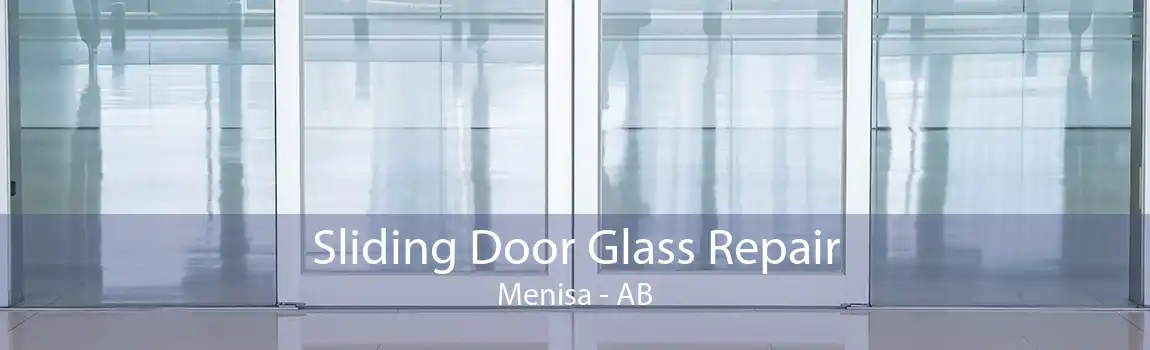 Sliding Door Glass Repair Menisa - AB