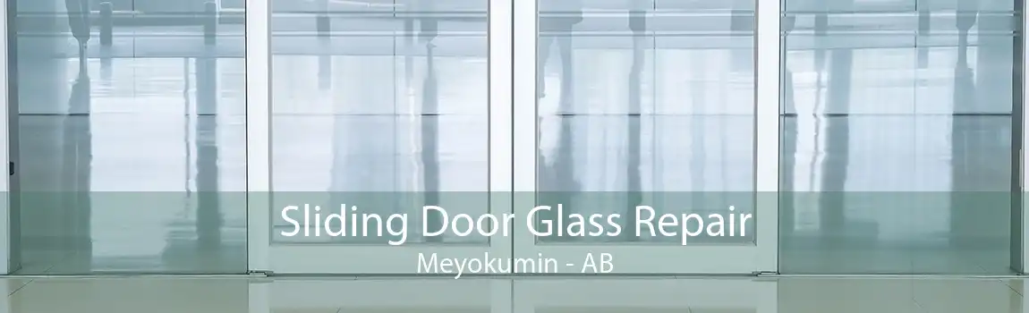 Sliding Door Glass Repair Meyokumin - AB