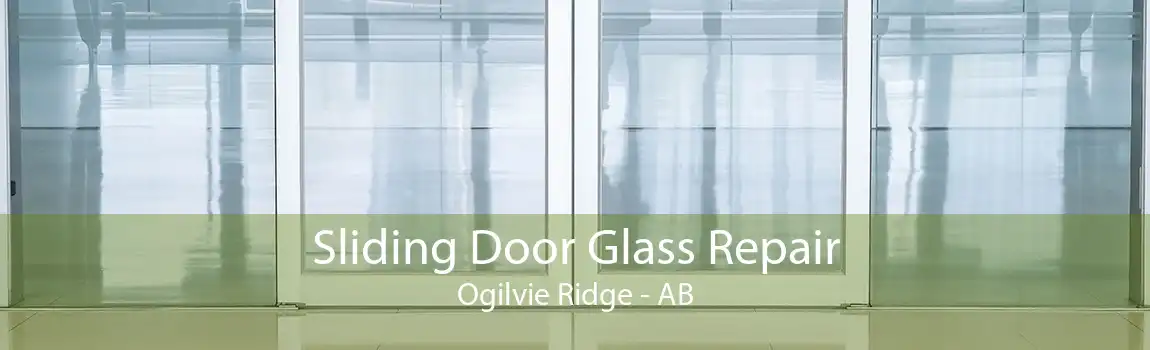 Sliding Door Glass Repair Ogilvie Ridge - AB