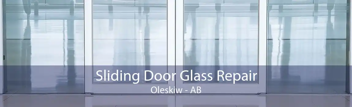 Sliding Door Glass Repair Oleskiw - AB