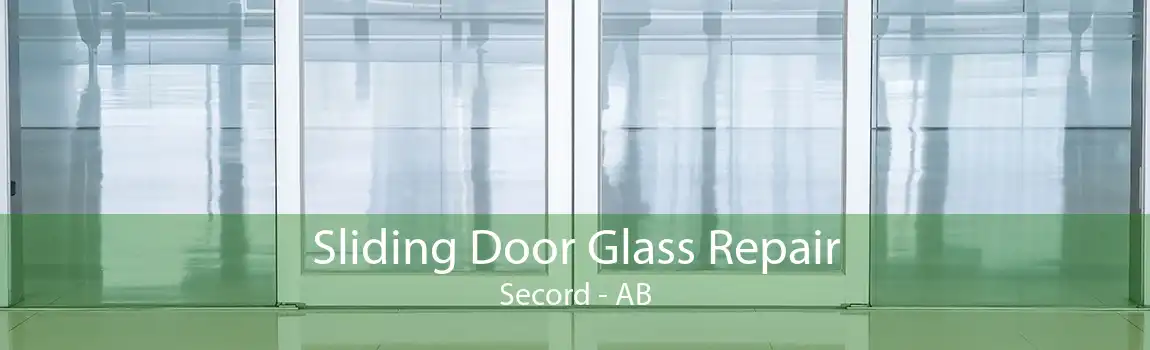 Sliding Door Glass Repair Secord - AB