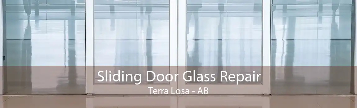 Sliding Door Glass Repair Terra Losa - AB