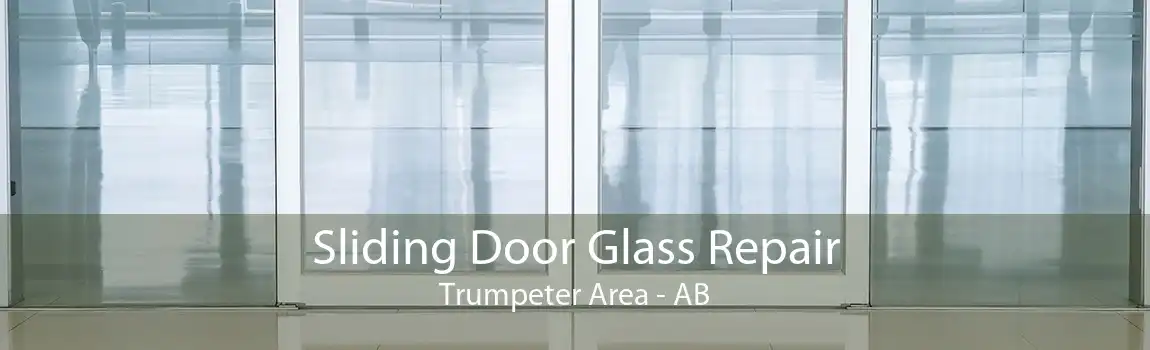 Sliding Door Glass Repair Trumpeter Area - AB