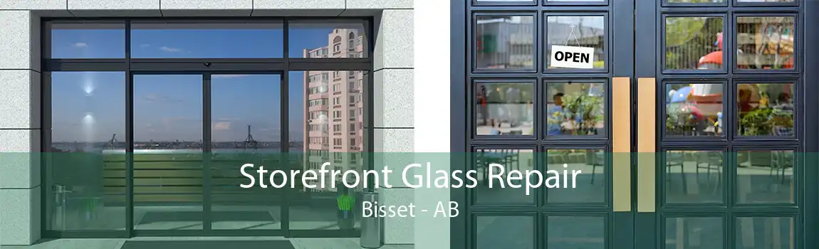 Storefront Glass Repair Bisset - AB