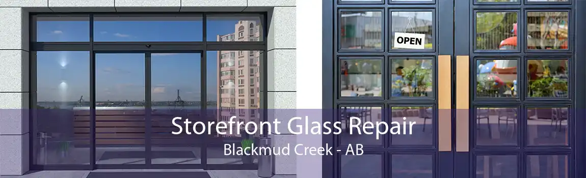 Storefront Glass Repair Blackmud Creek - AB