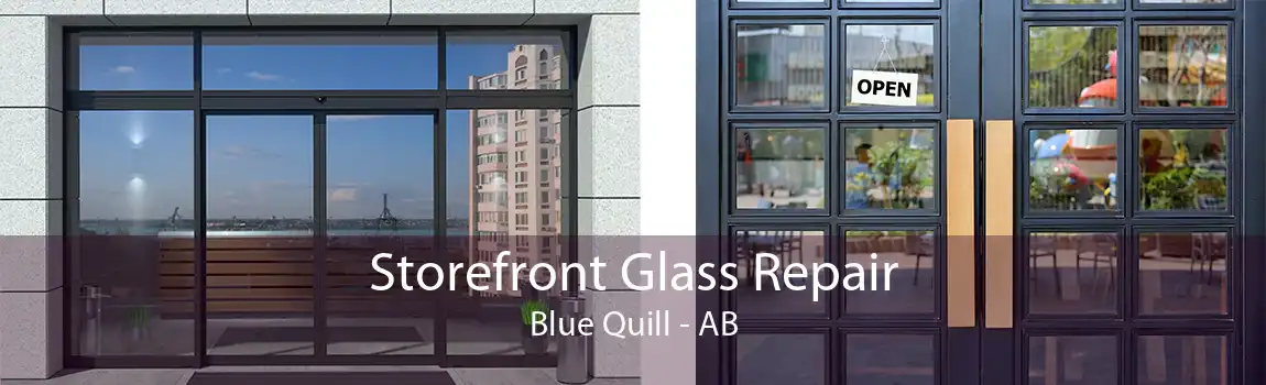 Storefront Glass Repair Blue Quill - AB