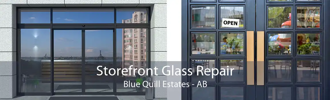 Storefront Glass Repair Blue Quill Estates - AB