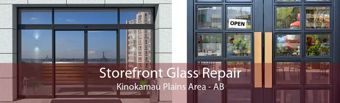 Storefront Glass Repair Kinokamau Plains Area - AB