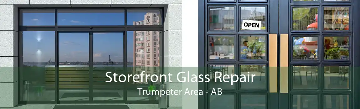 Storefront Glass Repair Trumpeter Area - AB