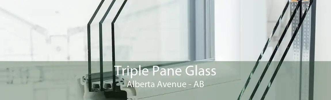 Triple Pane Glass Alberta Avenue - AB