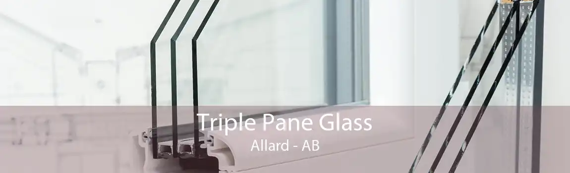 Triple Pane Glass Allard - AB