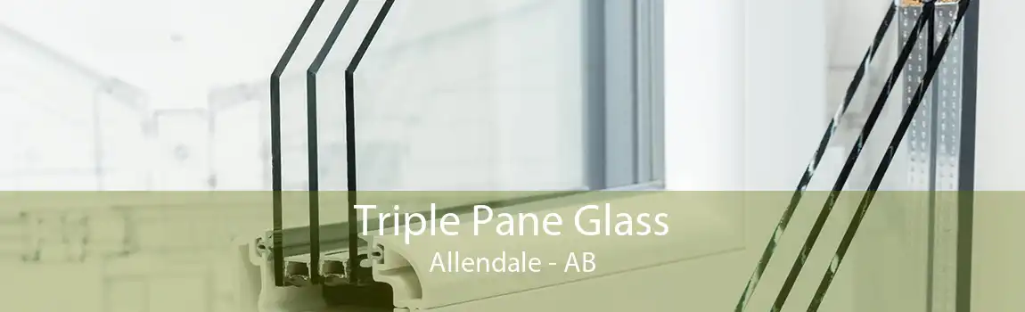 Triple Pane Glass Allendale - AB