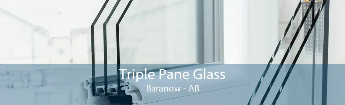 Triple Pane Glass Baranow - AB