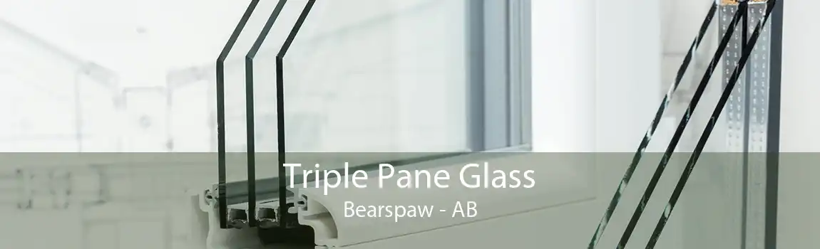 Triple Pane Glass Bearspaw - AB