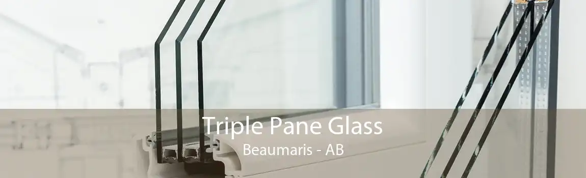 Triple Pane Glass Beaumaris - AB