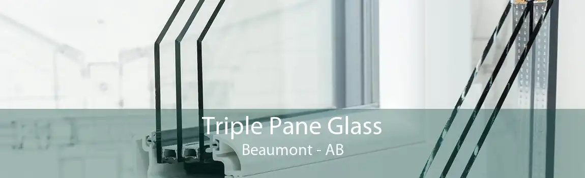 Triple Pane Glass Beaumont - AB