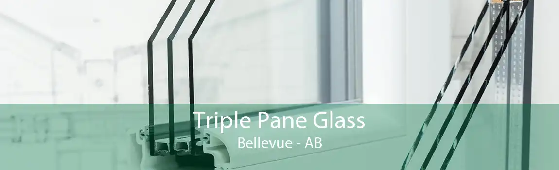 Triple Pane Glass Bellevue - AB