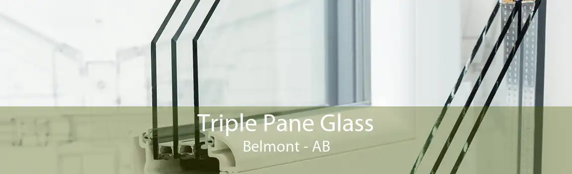 Triple Pane Glass Belmont - AB