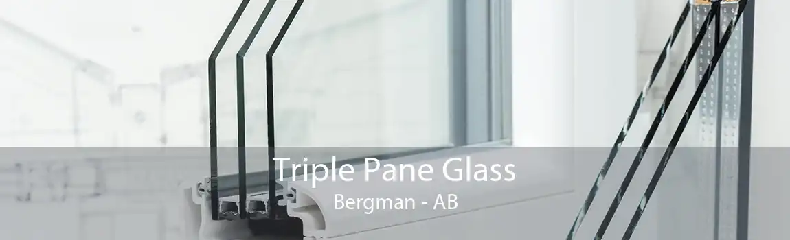 Triple Pane Glass Bergman - AB