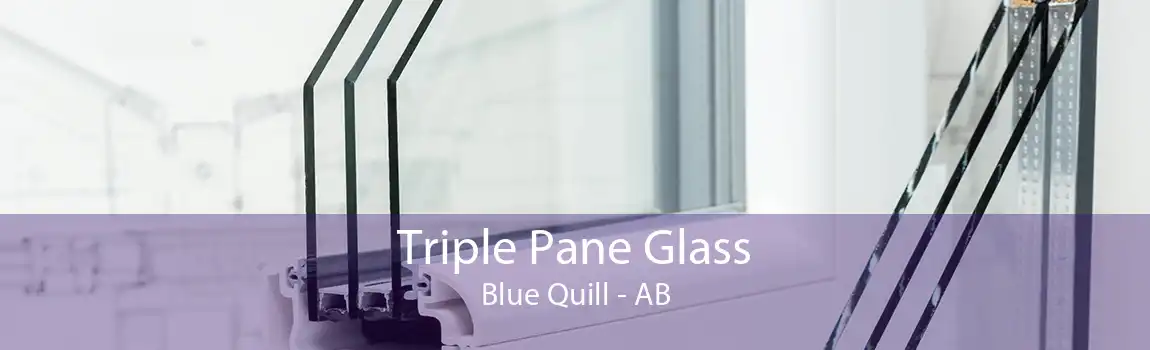 Triple Pane Glass Blue Quill - AB