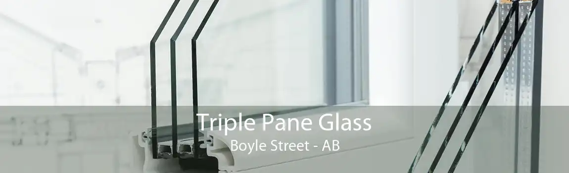 Triple Pane Glass Boyle Street - AB